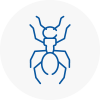 Ant Removals In Canonbury