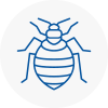 Bed Bug Extermination In Canonbury