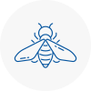 Bee Nest Removal Canonbury