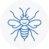 Canonbury Hornet Nest Removals