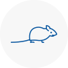 Mice Exterminators In Canonbury