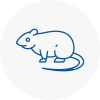 Rat Control Canonbury