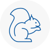 Canonbury Rodent Removals