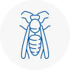 Canonbury Wasp Nest Removal